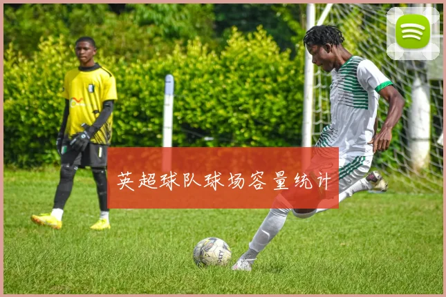 英超球队球场容量统计