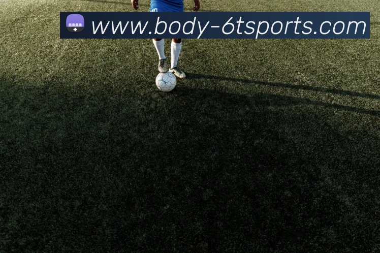 6T体育APP 封面图